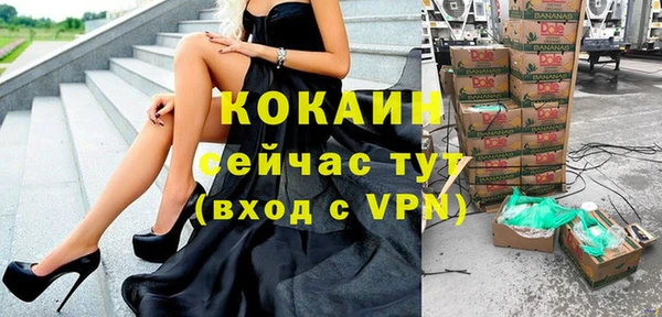 прущие крисы Бородино