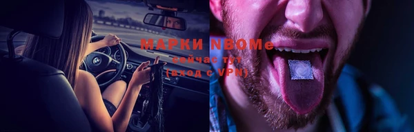 прущие крисы Бородино