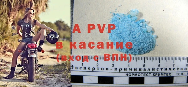 прущие крисы Бородино