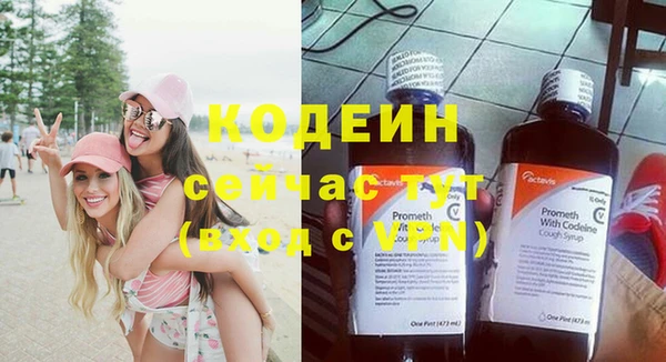 мдпв Верхний Тагил