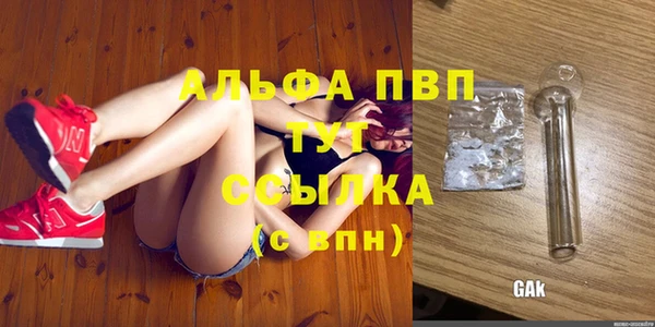 прущие крисы Бородино